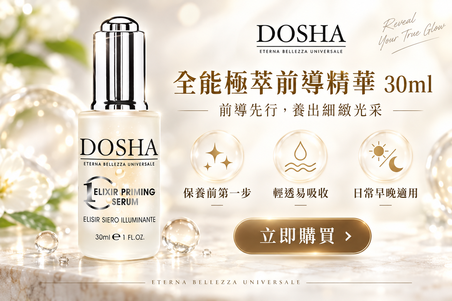 前導精華