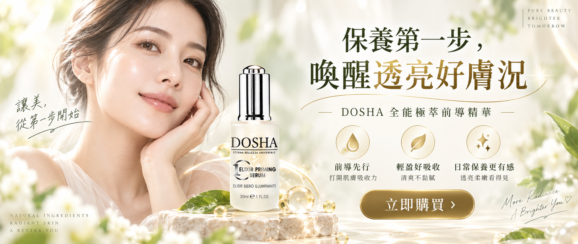 前導精華